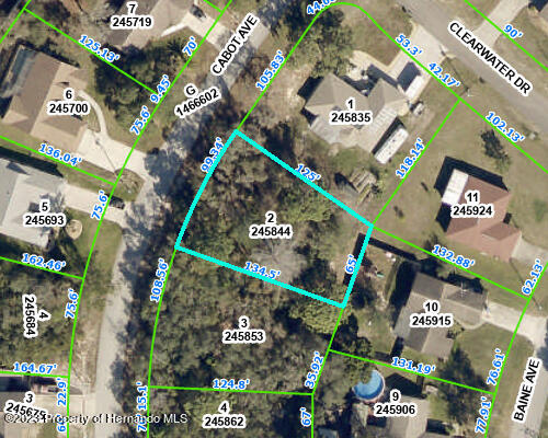 0 Cabot Ave, Spring Hill FL, 34606 land for sale