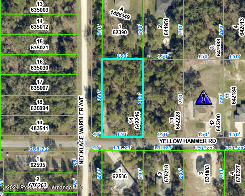 0 Yellow Hammer Rd, Weeki Wachee FL, 34614 land for sale