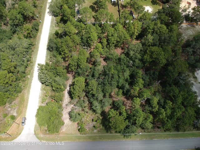 Listing photo 3 for 0 Yellow Hammer Rd, Weeki Wachee FL 34614