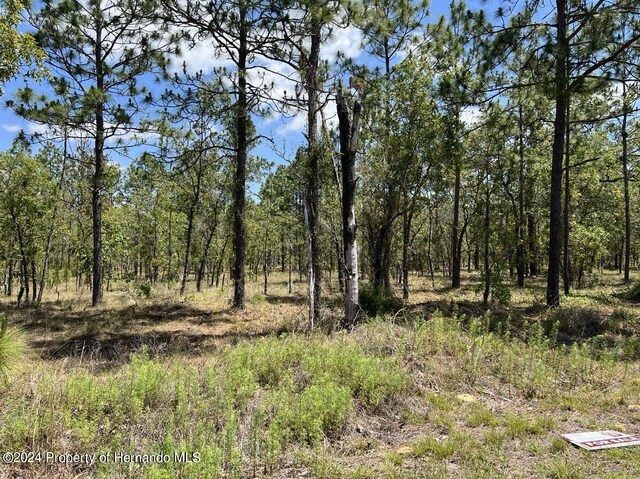 00 NW Amberjack Ave, Dunnellon, FL 34431 - photo 5