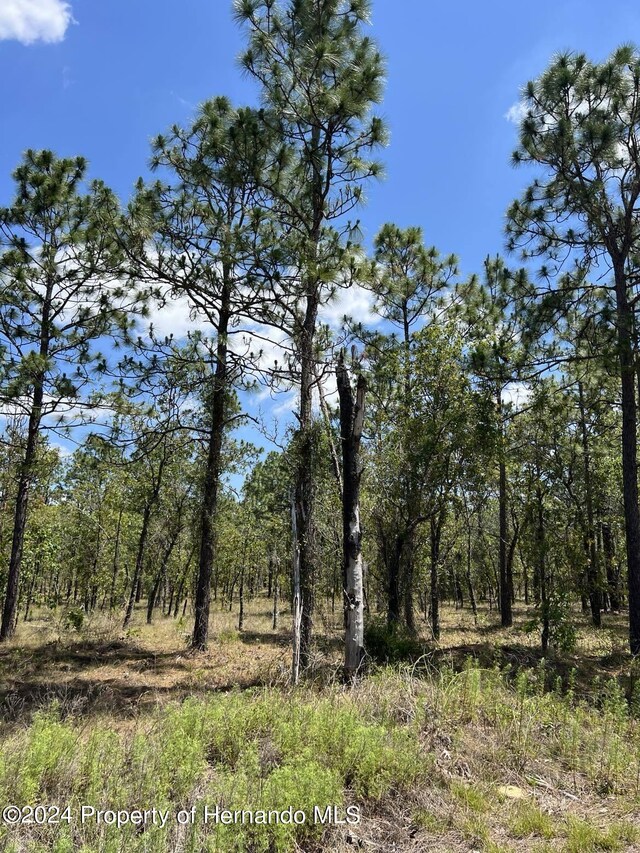 00 NW Amberjack Ave, Dunnellon, FL 34431 - photo 6
