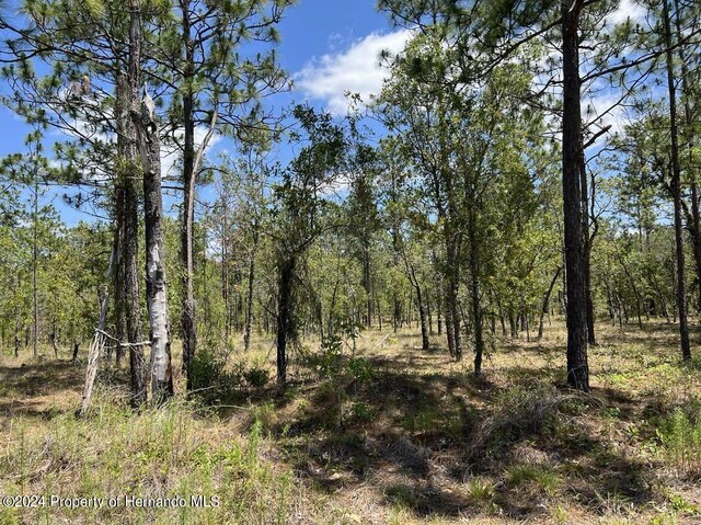 00 NW Amberjack Ave, Dunnellon, FL 34431 - photo 8