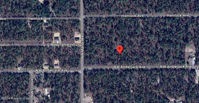 00 NW Amberjack Ave, Dunnellon, FL 34431 - photo 10
