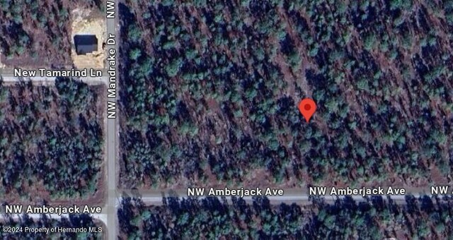 00 NW Amberjack Ave, Dunnellon, FL 34431 - photo 11