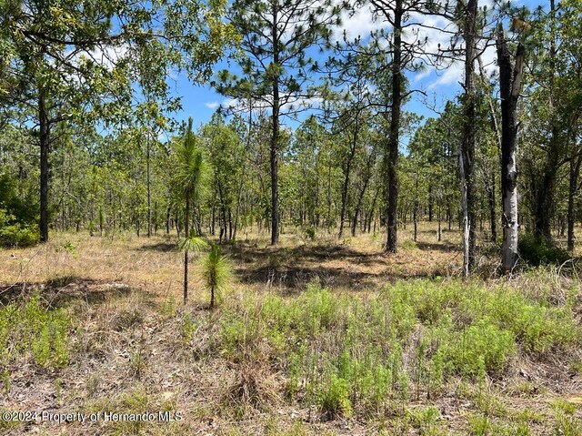 00 NW Amberjack Ave, Dunnellon, FL 34431 - photo 1