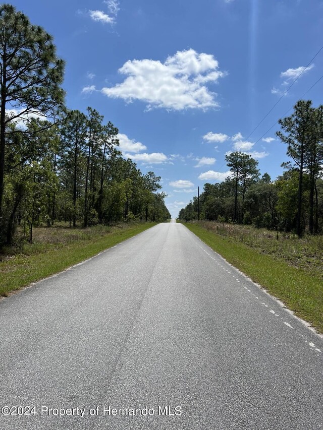 00 NW Amberjack Ave, Dunnellon, FL 34431 - photo 3