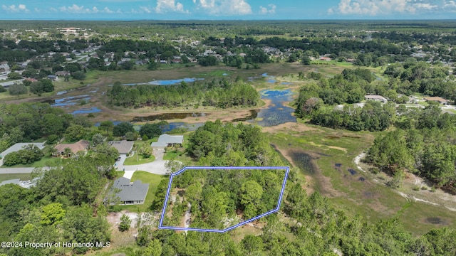 . Valley Brook Court, Spring Hill FL, 34606 land for sale