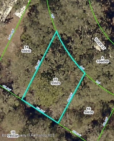 0 Tiger St, Ridge Manor FL, 33523 land for sale