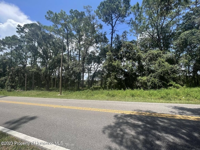 Listing photo 3 for LOT16 Richardson Blvd, Webster FL 33597