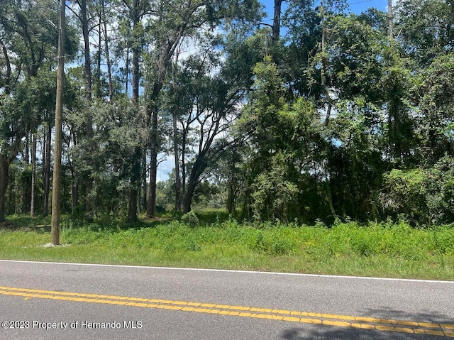 LOT16 Richardson Blvd, Webster FL, 33597 land for sale