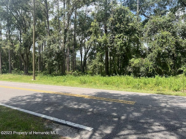 Listing photo 2 for LOT16 Richardson Blvd, Webster FL 33597