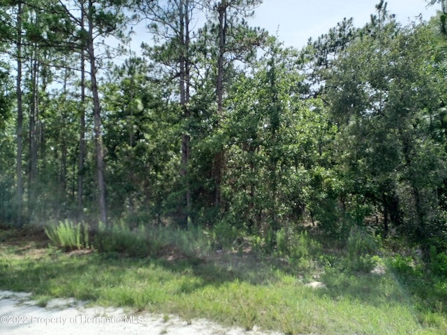 Listing photo 2 for 0 Missouri Skylark Rd, Weeki Wachee FL 34614