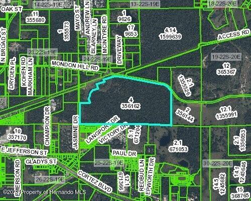 00 Mondon Hill Rd, Brooksville FL, 34601 land for sale