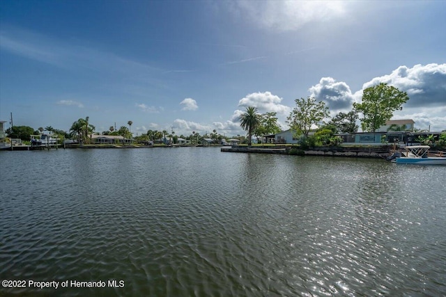 4404 3rd Isle Dr, Hernando Beach, FL 34607 - photo 12