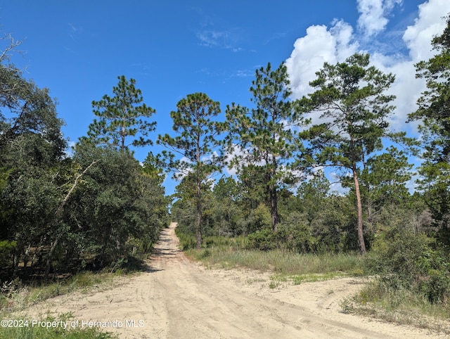 Listing photo 3 for 14402 Trinity Rd, Brooksville FL 34614