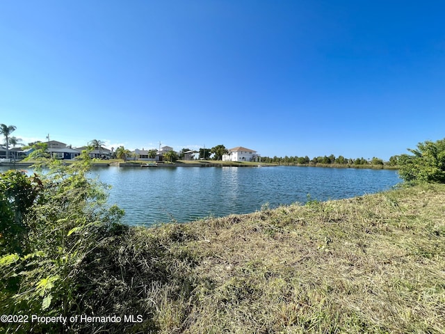 0 Poinsettia Dr, Spring Hill, FL 34607 - photo 5