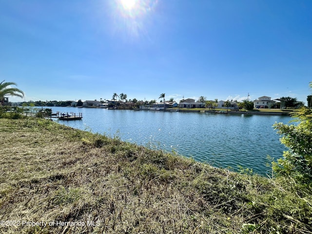 0 Poinsettia Dr, Spring Hill, FL 34607 - photo 6