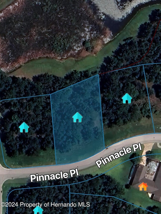 0 Pinnacle Pl, Brooksville FL, 34601 land for sale