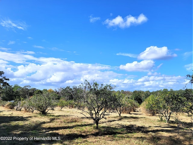 0 N Ave W, Brooksville FL, 34601 land for sale