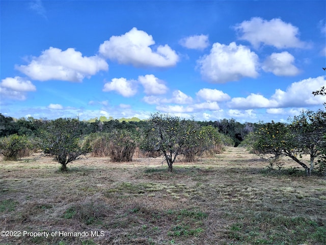 Listing photo 2 for 0 N Ave W, Brooksville FL 34601