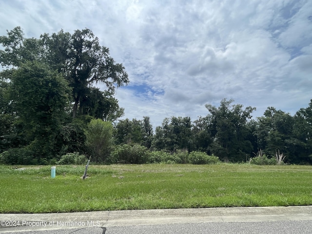 5995 Creek Ridge Rd, Brooksville, FL 34601 - photo 2
