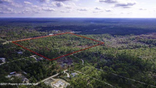 0 Commercial Way, Weeki Wachee, FL 34614