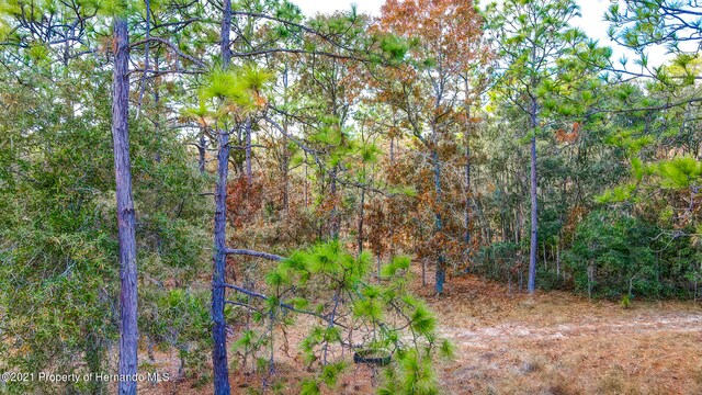 0 Commercial Way, Weeki Wachee, FL 34614