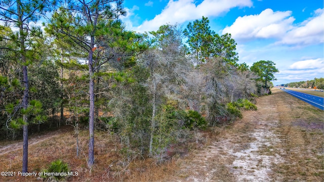 0 Commercial Way, Weeki Wachee, FL 34614
