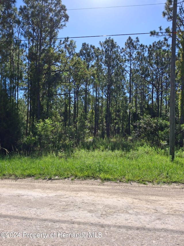 15262 Coot Rd, Weeki Wachee FL, 34614 land for sale