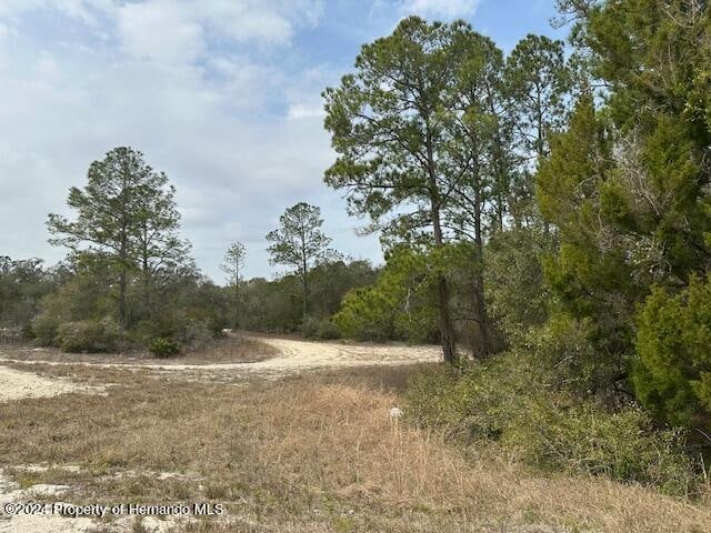 0 Hardstone Dr, Webster FL, 33597 land for sale