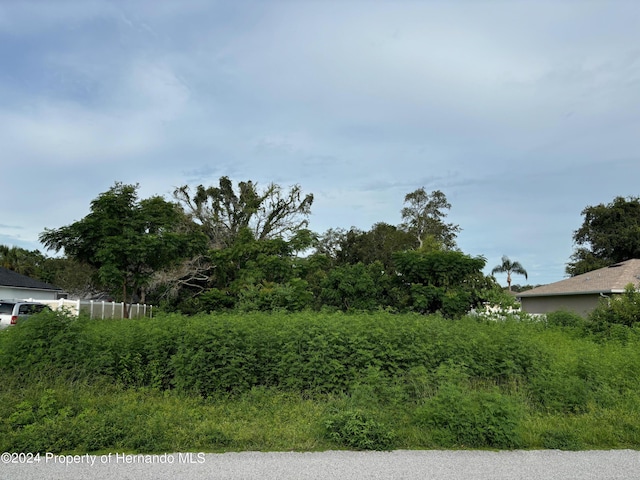 LOT17 Channing Ave, Spring Hill, FL 34608