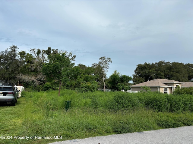 LOT17 Channing Ave, Spring Hill, FL 34608