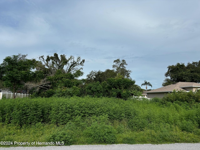 LOT17 Channing Ave, Spring Hill, FL 34608