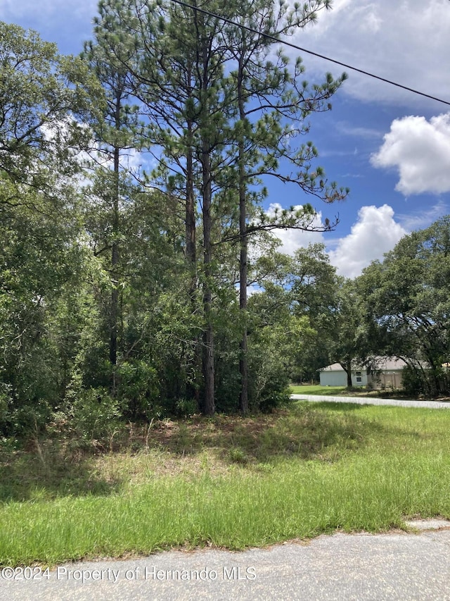 8660 N Trojan Dr, Citrus Springs FL, 34433 land for sale