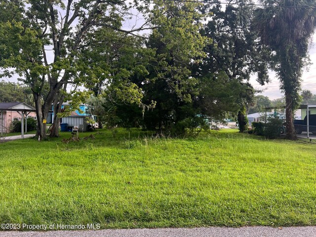 6049 Colony Cir, Weeki Wachee, FL 34607 - photo 2