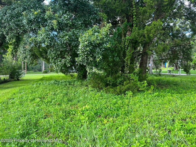 6049 Colony Cir, Weeki Wachee, FL 34607 - photo 4