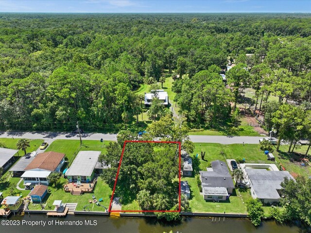 6049 Colony Cir, Weeki Wachee, FL 34607 - photo 10