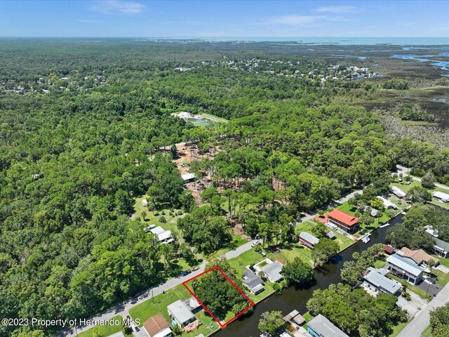 6049 Colony Cir, Weeki Wachee, FL 34607 - photo 12