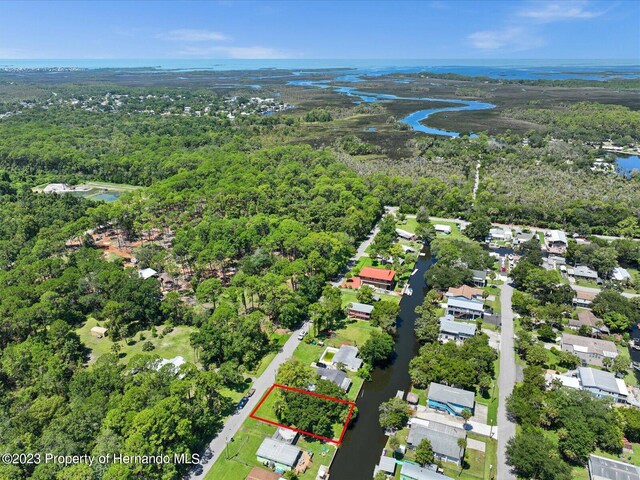 6049 Colony Cir, Weeki Wachee, FL 34607 - photo 13