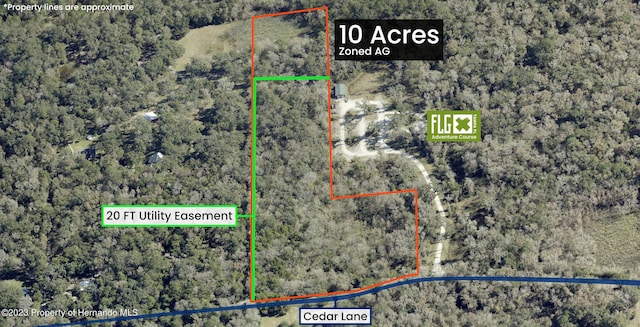 0 Cedar Ln, Brooksville, FL 34601 - photo 1