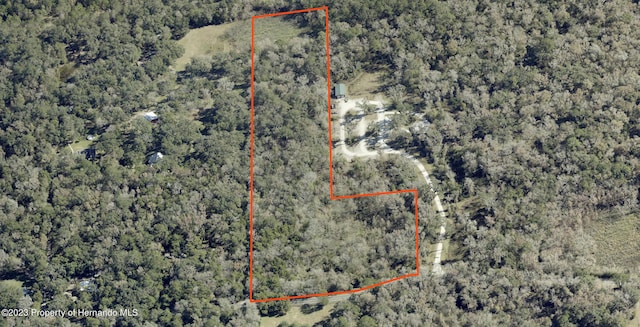 0 Cedar Ln, Brooksville, FL 34601 - photo 2