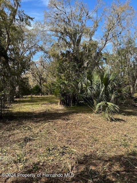 Listing photo 2 for 0 Yontz, Brooksville FL 34601