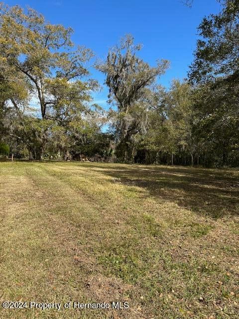 Listing photo 3 for 0 Yontz, Brooksville FL 34601