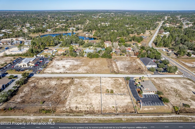 LOT10 Yale Ave, Weeki Wachee FL, 34613 land for sale