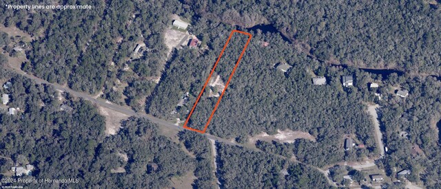 00 Cyril Dr, Ridge Manor, FL 33523 - photo 1