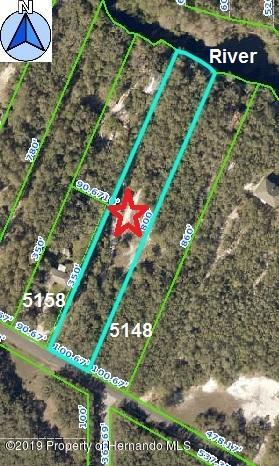 00 Cyril Dr, Ridge Manor, FL 33523 - photo 3