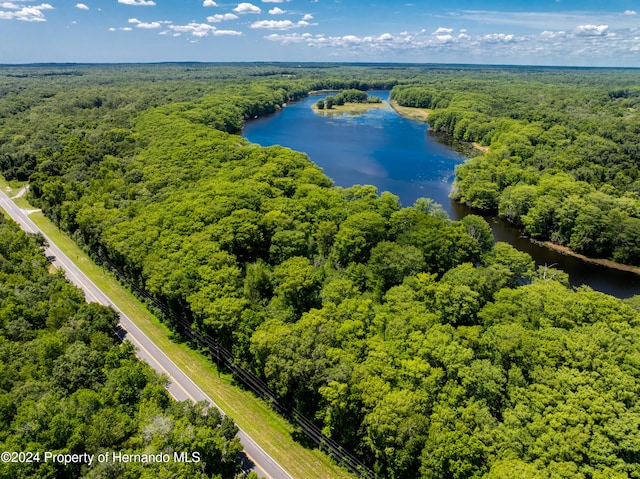 0 Lake Lindsey Rd, Nobleton FL, 34661 land for sale