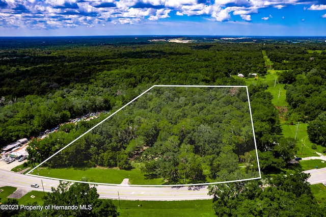 1525 Ponce De Leon Blvd, Brooksville FL, 34601 land for sale