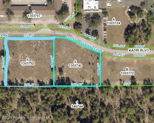 12160 Kadri Blvd, Spring Hill FL, 34608 land for sale