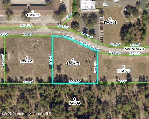12160 Kadri Blvd, Spring Hill, FL 34608 - photo 2